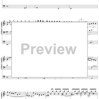 Passacaglia in D Minor, B161