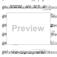 Quintet Op.43 - Flute