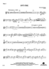 Spit-Fire - Flute 2