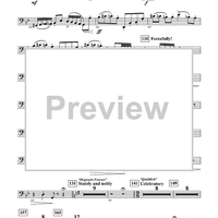 Harry Potter Symphonic Suite - Bassoon