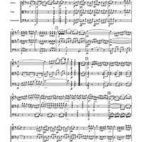 Serenade, Op. 8 for String Trio - Score
