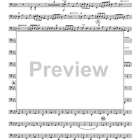 The Stars and Stripes Forever - Tuba