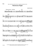 Boisterous Flight - Bass