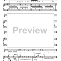 The Foreign Woman's Aria