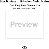6. Ein kleiner, hübscher Volel nahm den Flug zum Garten hin