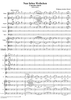 "Nun, liebes Weibchen, ziehst mit mir", K592a (K625) - Full Score
