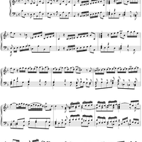 Concerto No. 3 in D minor (from Marcello: Ob Conc)