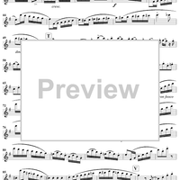 Grand Duo in E Minor, Op. 39, No. 1 - Flute 1