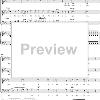 Mass No. 9 (Sancti Bernardi) in B-flat Major, "Heiligmesse": No. 3. Credo