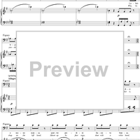 Recitative and Duet: Oh cielo!, No. 6 from "Il Barbiere di Siviglia"