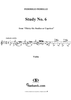 Study No. 6