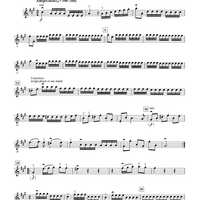 Symphony No. II in A Major (1st Movement) - Violin 2 Concertino