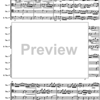Allegro from a minor concerto - Score
