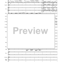 Harry Potter Symphonic Suite - Score