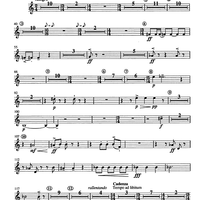 Concertino giocoso Op. 12 - Horn in F 3