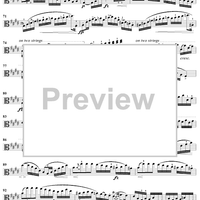 Caprice No. 11 from "Twenty-Four Caprices"