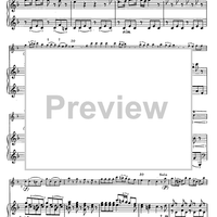 Concerto in F Major for Flute, Strings and Cembalo - Piano Score