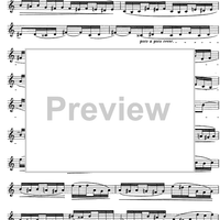 The Accomplished Clarinettist Vol. 2 - Clarinet