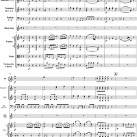 Oboe Concerto in C Major, HobVIIg/C1 Movement 1 - Full Score