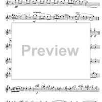 Tanijetz - E-flat Piccolo Clarinet