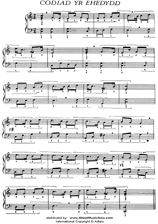 Telyn y Werin - Vol. 1