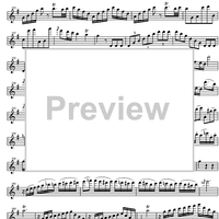 Concerto No. 1 G Major KV313 - Flute