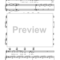 Bright Lights and Cityscapes