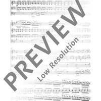 Quartetto after Matiegka's Notturno - Score and Parts