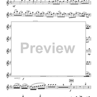 Concerto in E-flat - Flute 1