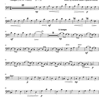 Argentinian Rhapsody - Cello