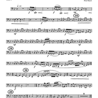 With A Little Bit Of Flash - Tuba 1