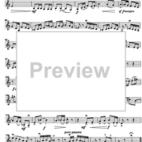 Godalni Quartet - Violin 2