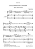 The Loneliest Wilderness - Elegy for Cello and Orchestra - Piano Accompaniment