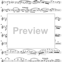 Concertino, Op. 107 - Flute