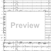 Violin Concerto no. 1, op. 6, movt. 1 - Full Score