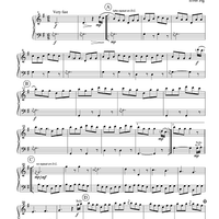 The Irish Washerwomen