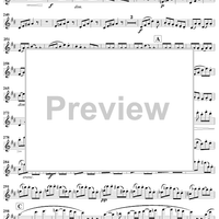 Grand Duo Concertant in D major, Op. 87, No. 3 - Flute 1