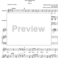 Lieder No. 1 aus dem Schenkenbuch im Divan Op.25 No. 5