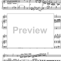 Concerto No. 1 G Major KV313 - Score