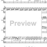 Argentinian Rhapsody - Marimba