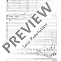 Concerto music - Score