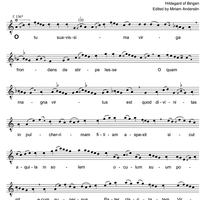 O Tu Suavissima Virga