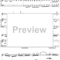 Flute Concerto in G Major, Allegro - Piano