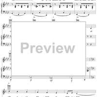 The Shady Dame from Seville