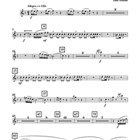 Divertimento for Tuba and Concert Band - Flute 2