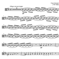 String Quartet No. 6 D Major D74 - Viola