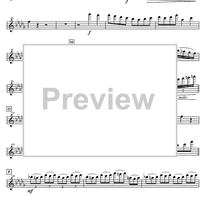 Indian Wardance from Far from Denmark - Piccolo