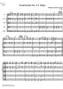 Divertimento No. 6 C Major KV188 - Score