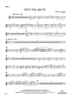 Into the Arctic - Flute 2