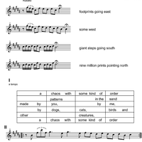 A Chaos with some Kind of Order